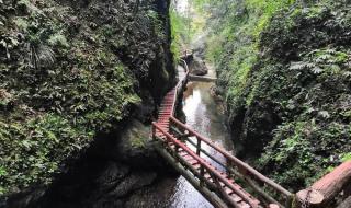 给个建议,青城山和都江堰哪个好玩